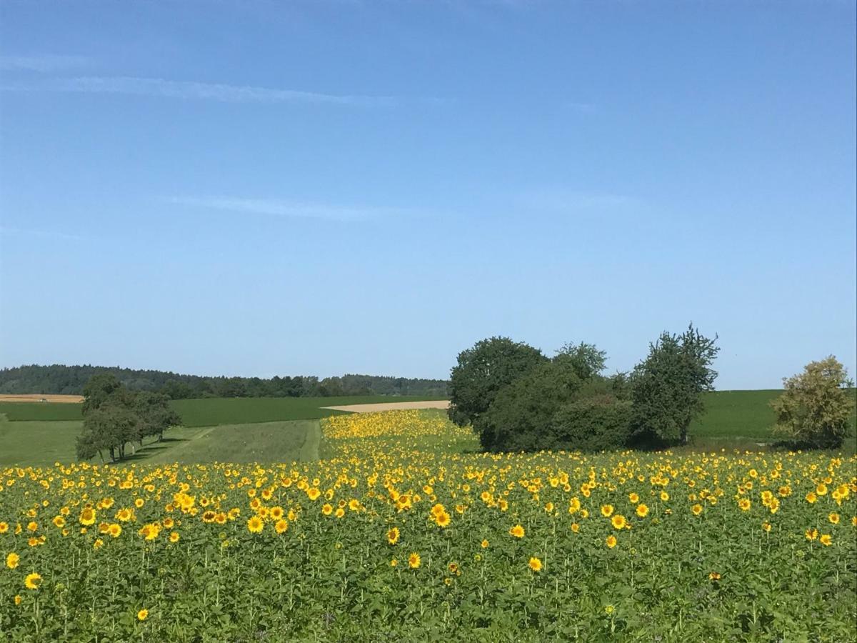 Souterrain Ferienwohnung Haigerloch Zewnętrze zdjęcie